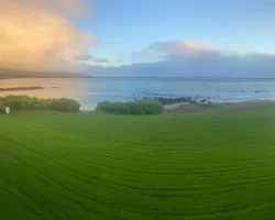 landscape view of green grass by ocean