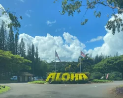 Aloha sign in Hawaii